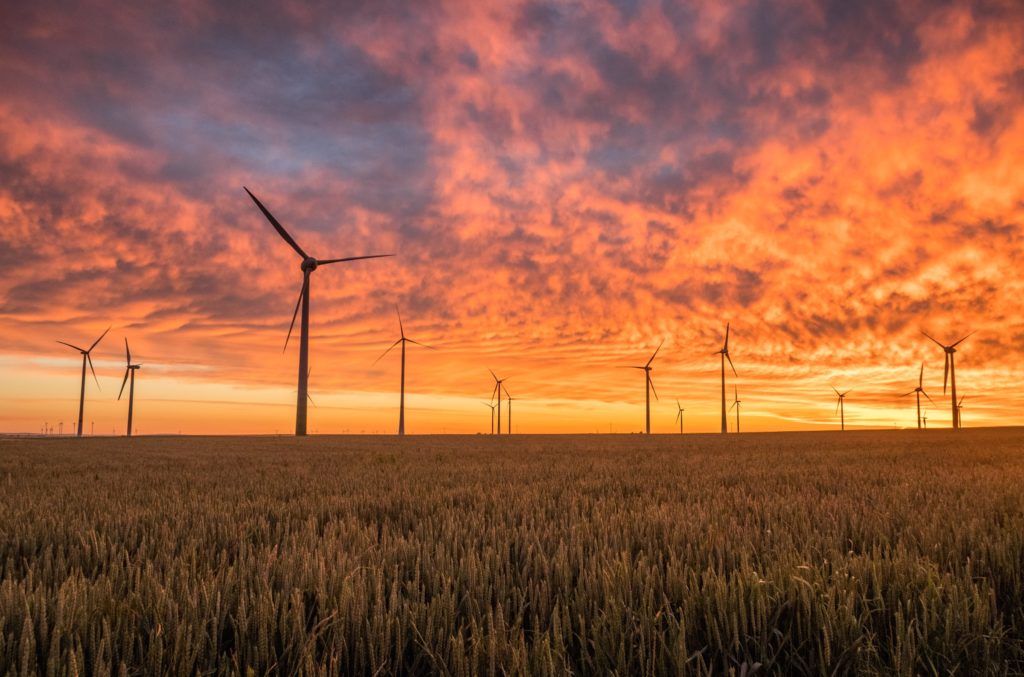 Wind turbines in field at sunset / CC0 Karsten Wurth