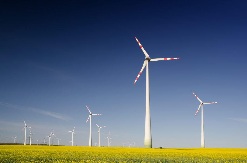 Wind turbines in a field