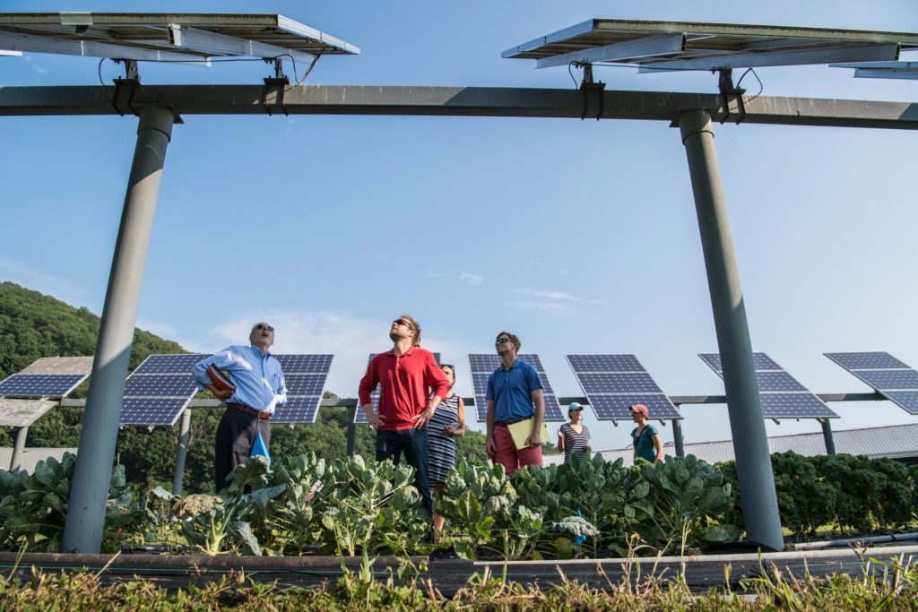 People inspecting solar panels in a field/ CC0 Science in HD