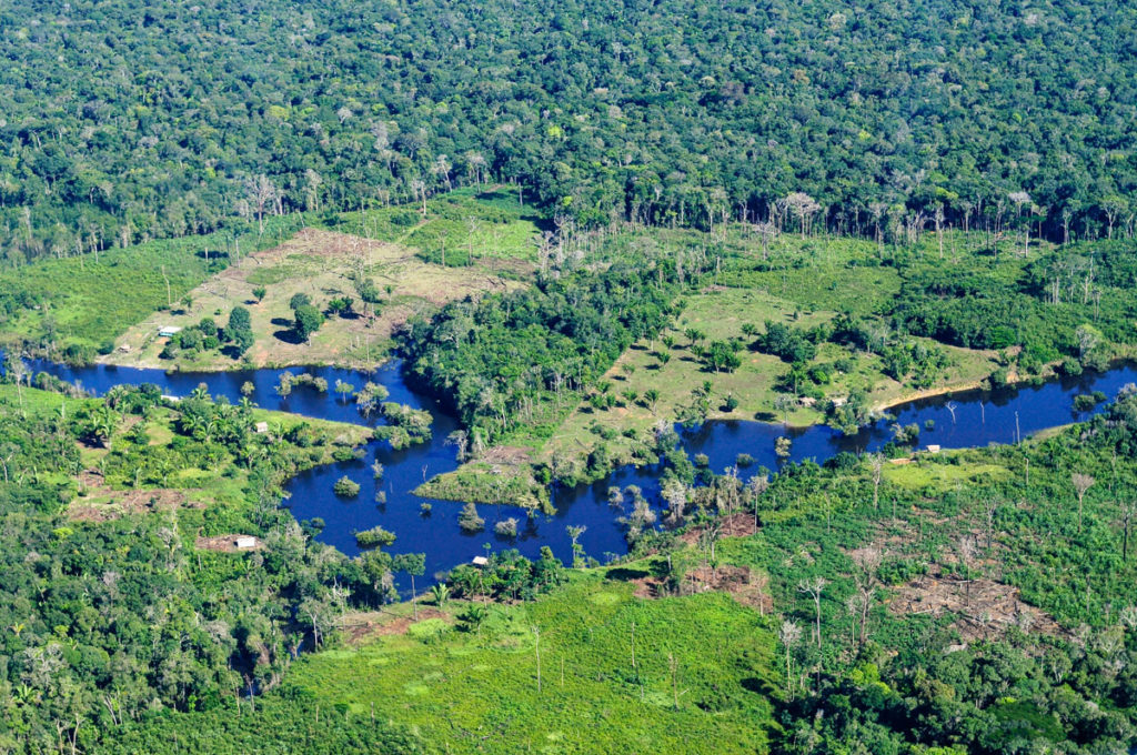Deforestation in the Amazon /CIFOR / Flickr CC BY-NC-ND 2.0