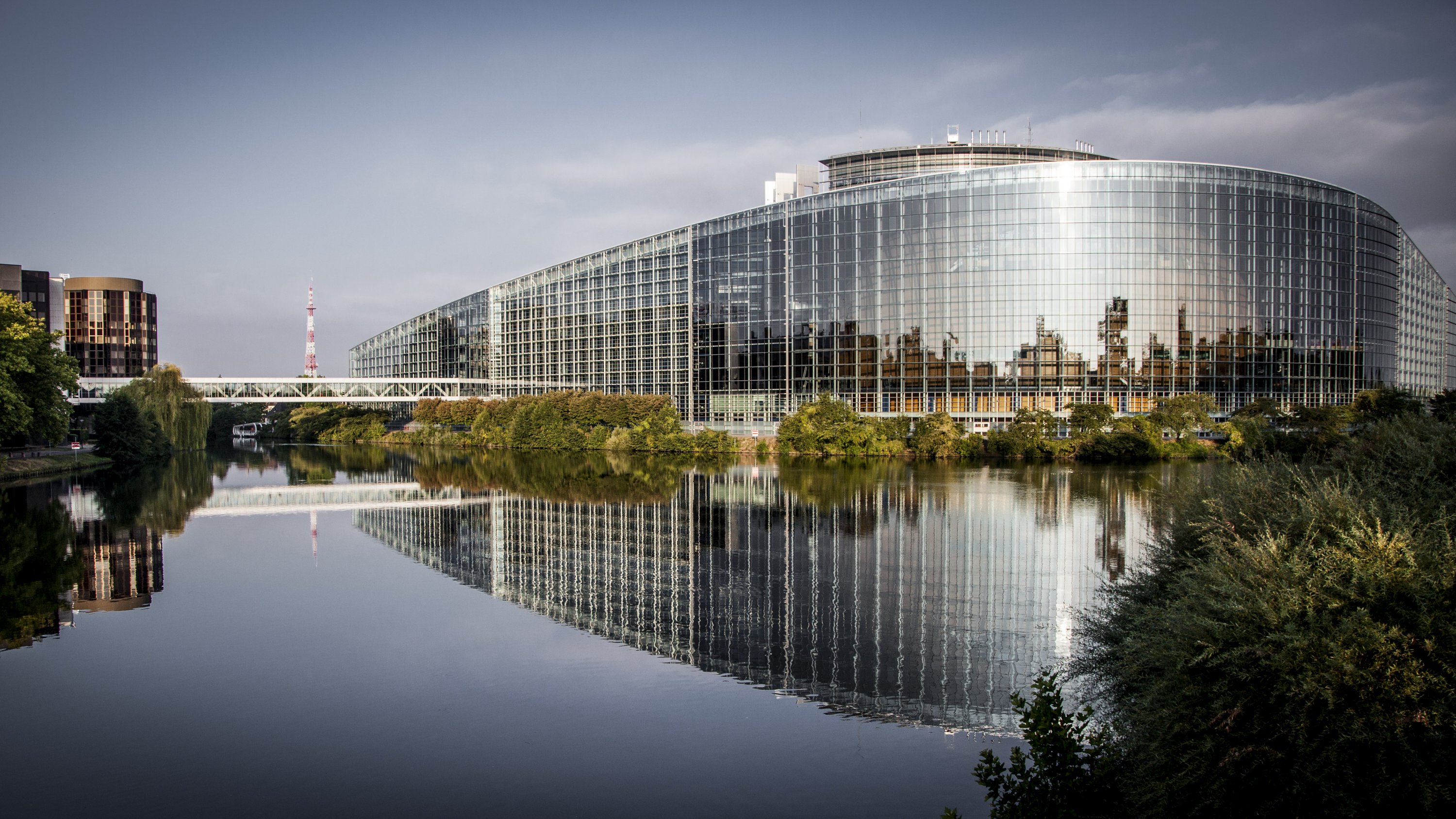 Greens/EFA debriefing of the plenary session - Vimarsana News