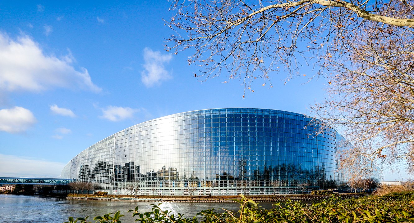 Greens/EFA debriefing of the plenary session - Vimarsana News