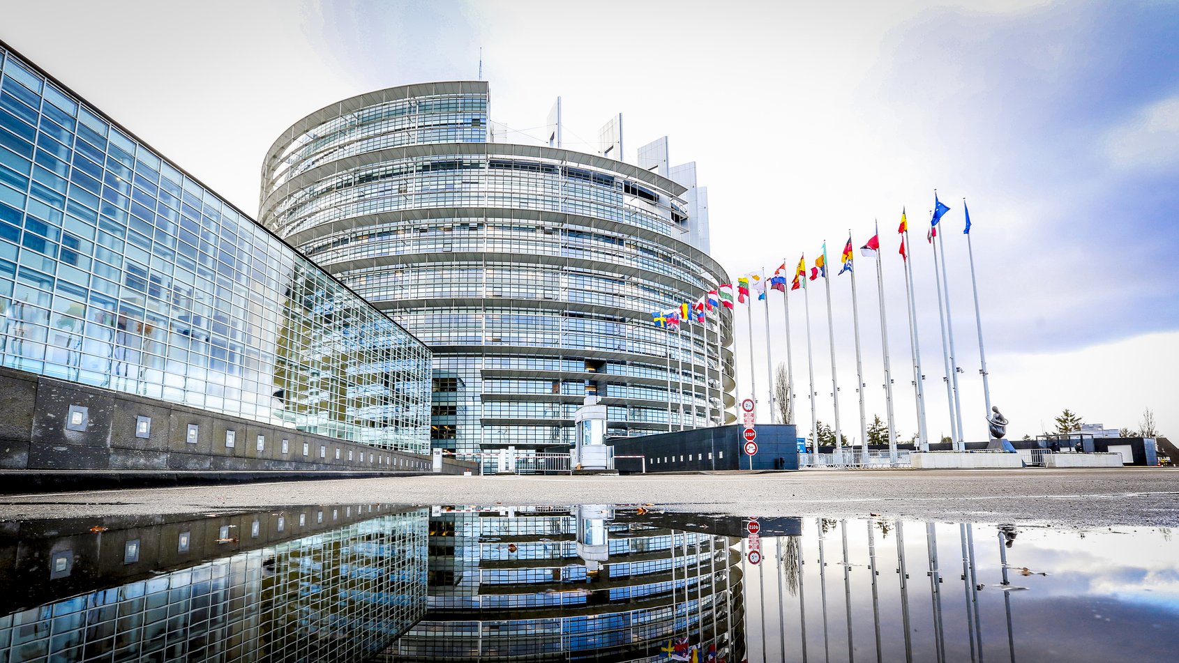 Greens/EFA debriefing of the plenary session - Vimarsana News