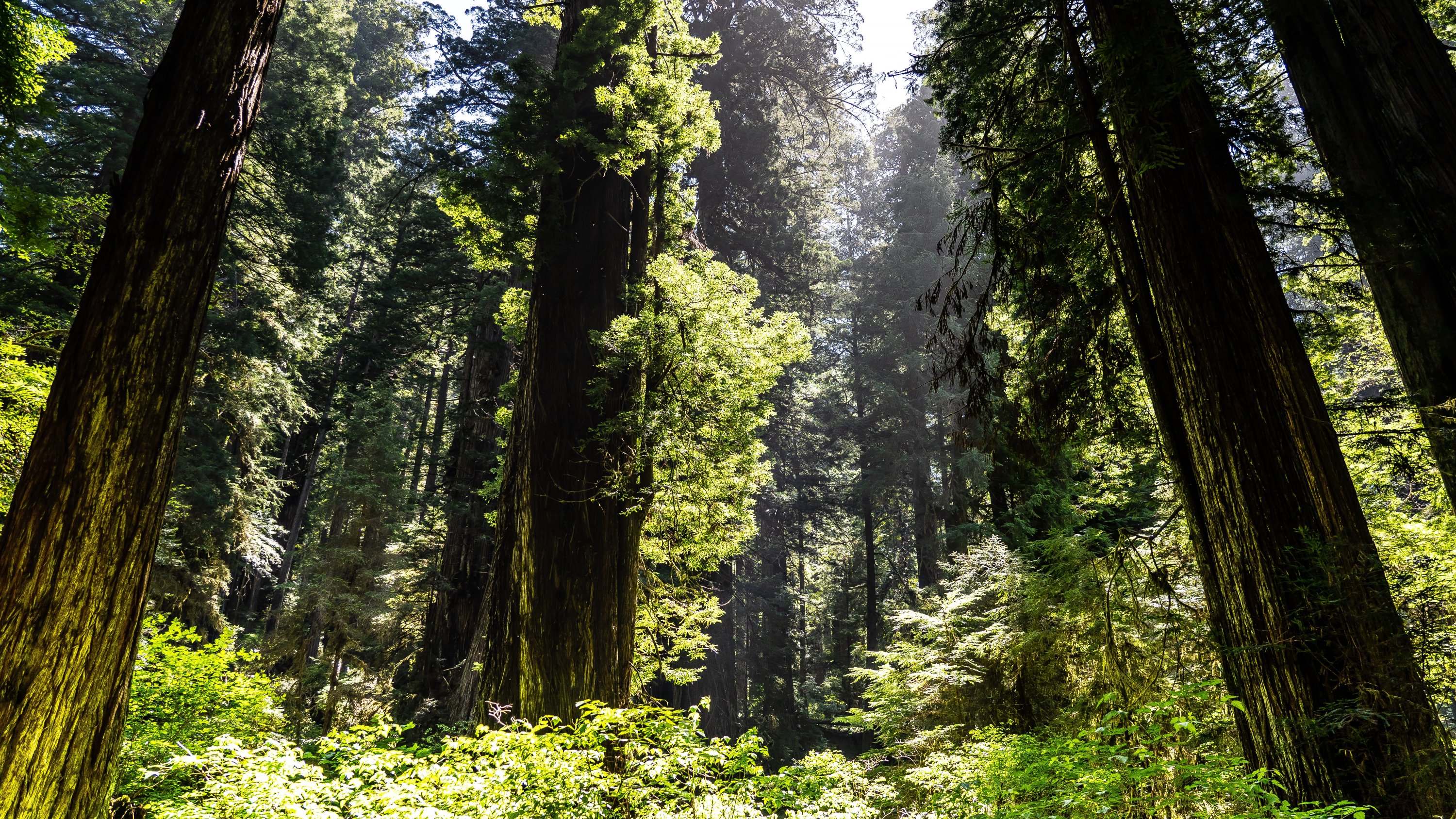 European Parliament adopts EU's Environmental Action Programme to 2030 - Vimarsana News