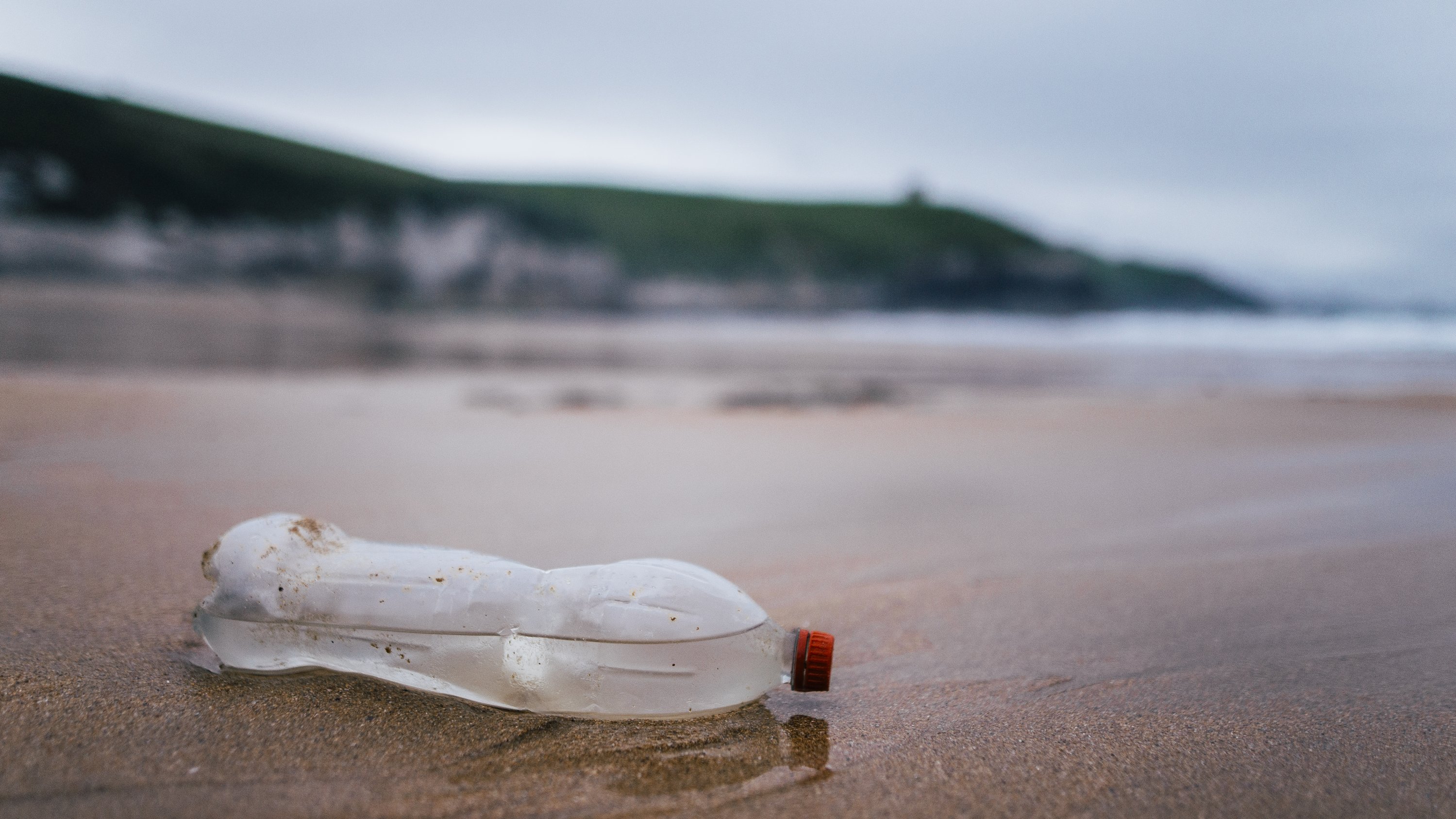 European Parliament votes to ban a range of plastics in a victory for ...