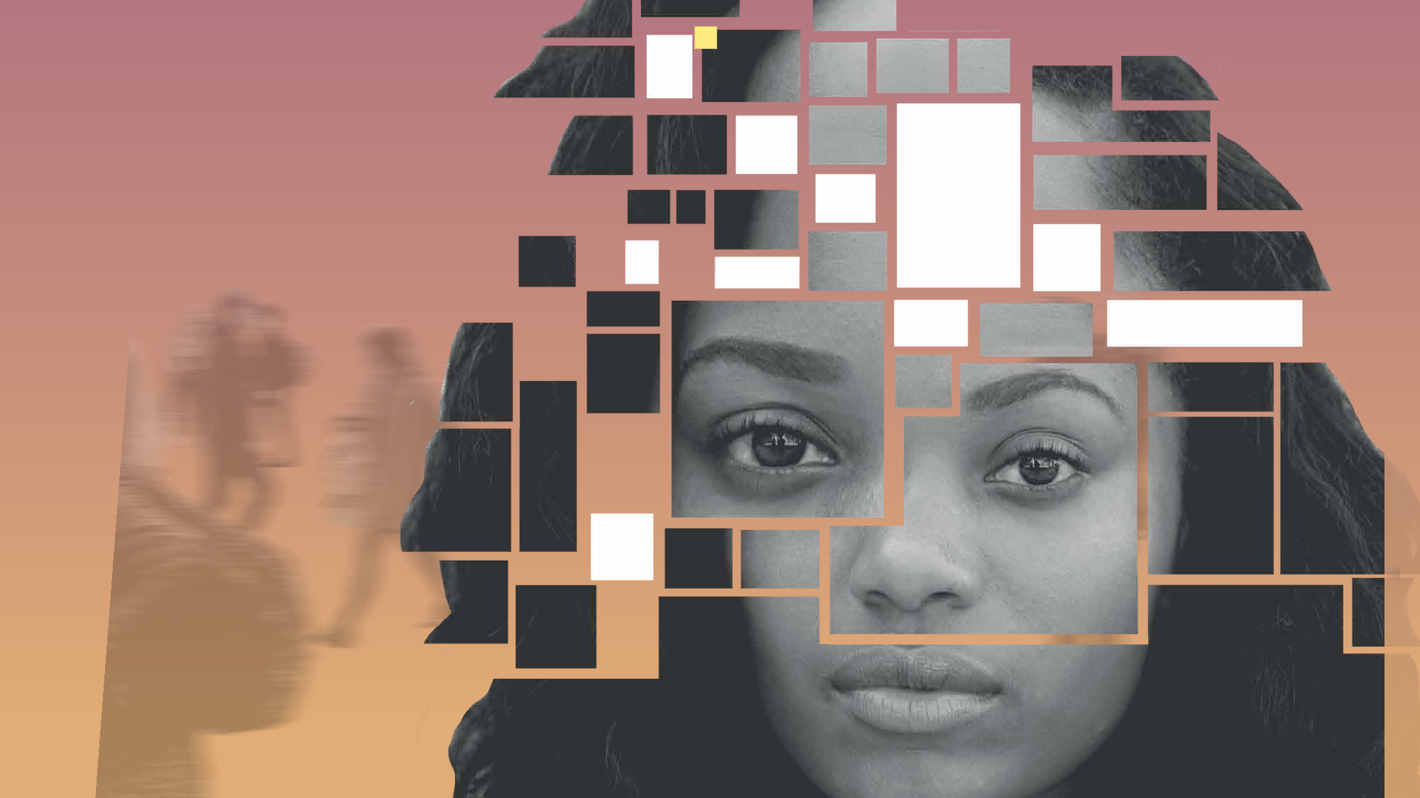 Stopping Biometric Mass Surveillance in Europe Greens/EFA