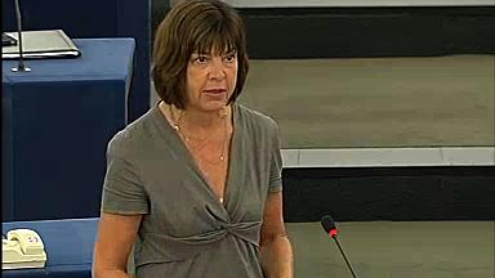 Political situation in Romania Greens/EFA