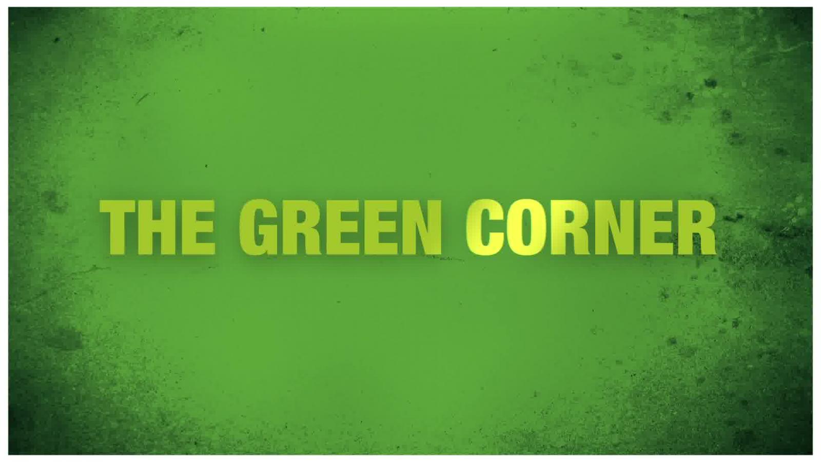 The green corner Greens/EFA