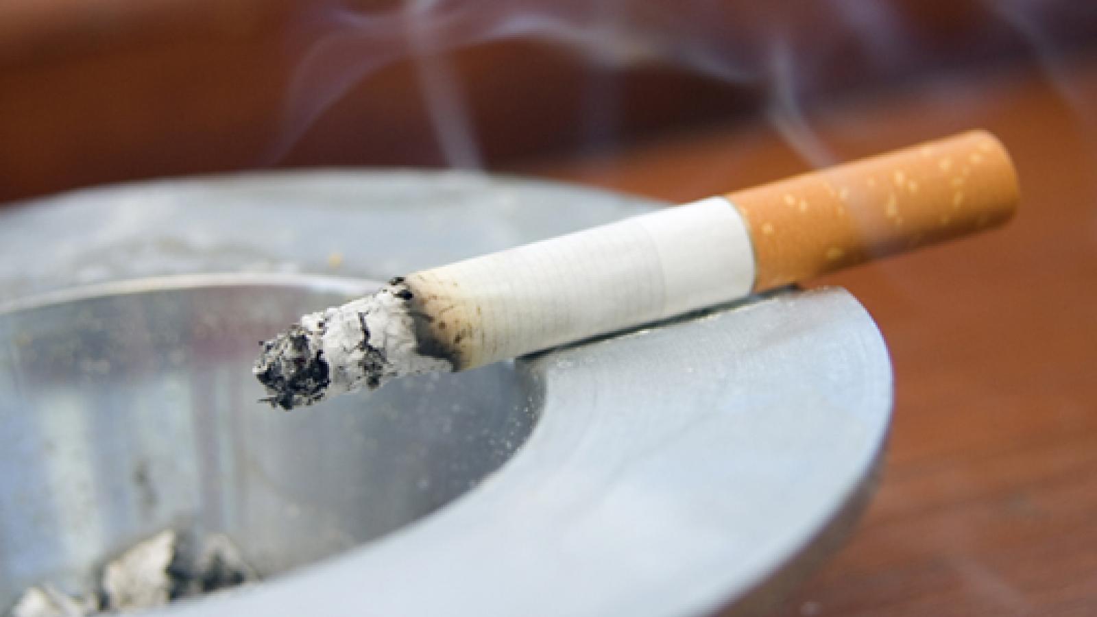 EU tobacco rules Greens/EFA