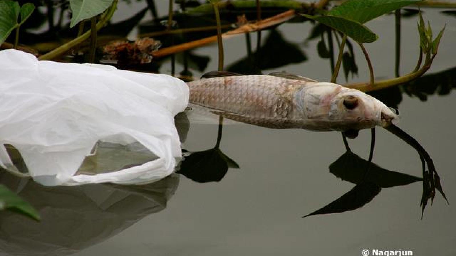 Plastic bags Greens/EFA