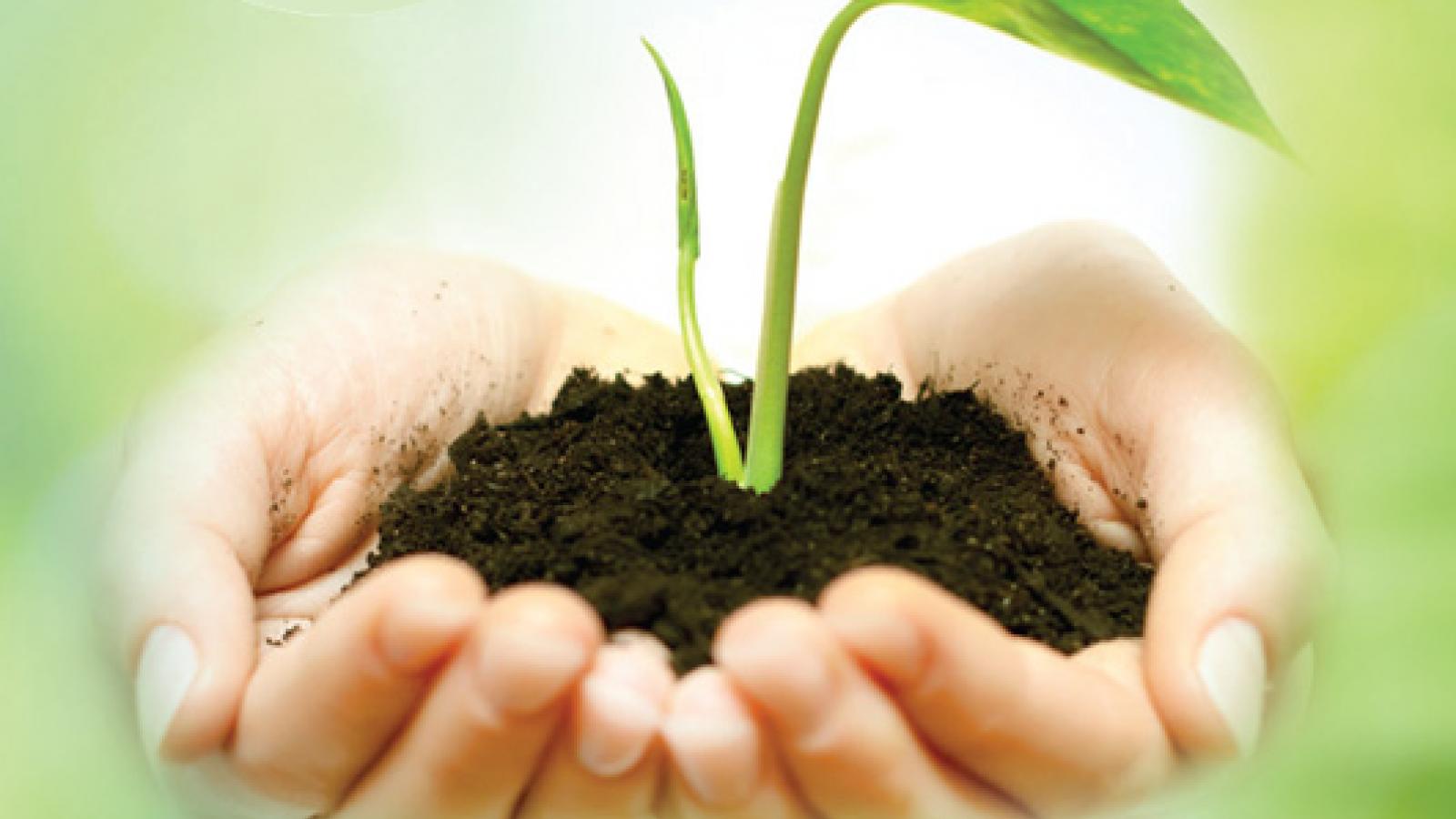 Why Soil matters? Greens/EFA