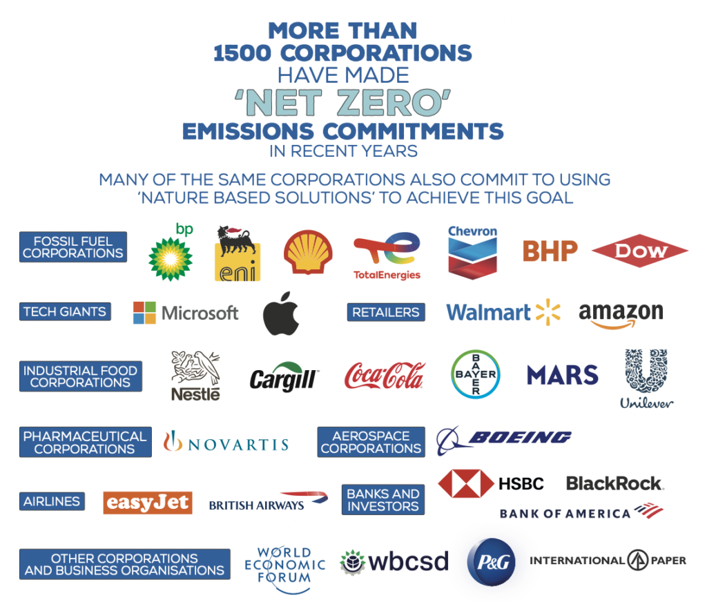 Net zero emissions commitments - Source Friends of the Earth International report 2022