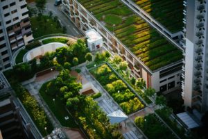 Green urban rooftops EPBD / CC0 chuttersnap